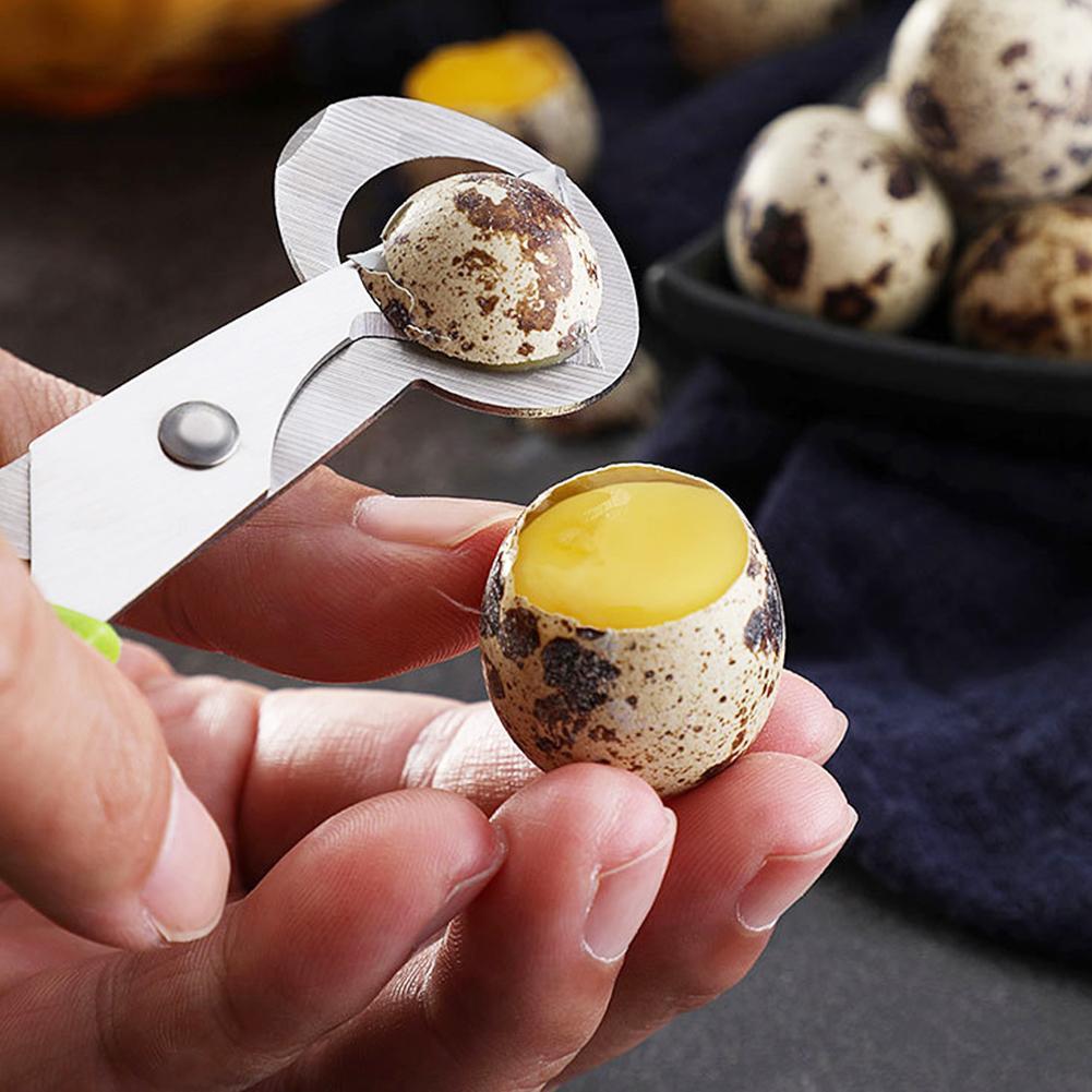 Pigeon Quail Open Crack Small  - đánh giá và giá Egg Separator Tool